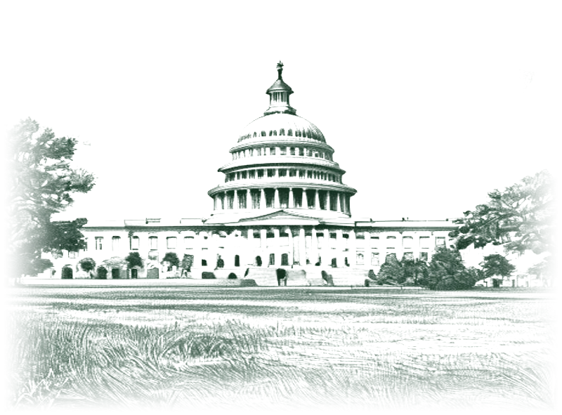 The United States Capitol dome from the lawn, engraving